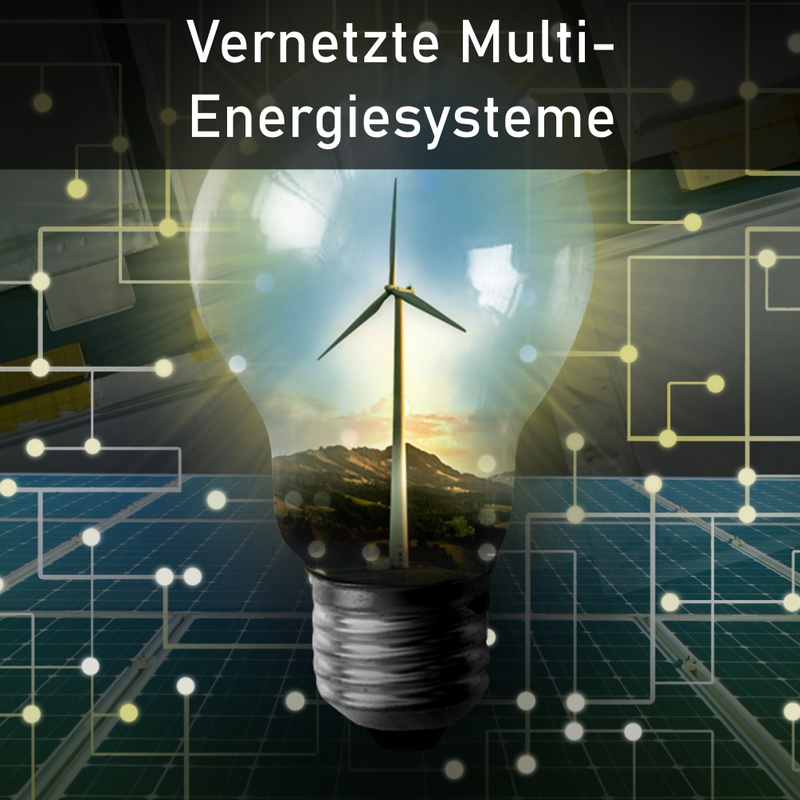 Vernetzte Multi-Energiesysteme